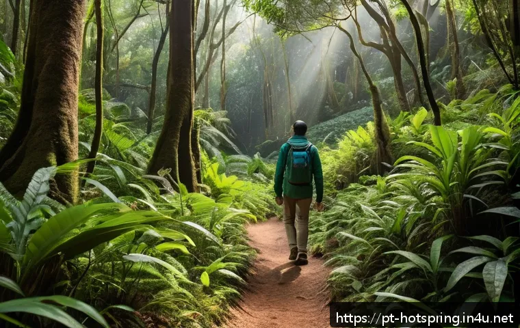 온천과 숲 힐링 - A serene Brazilian forest scene in S&atilde;o Paulo&rsquo;s Cantareira State Park during early morning light, fea...
