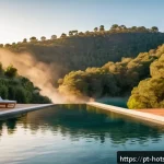 Home 19 온천 투어 코스 - A serene outdoor thermal pool set in the lush green landscapes of northern Portugal during early aut...
